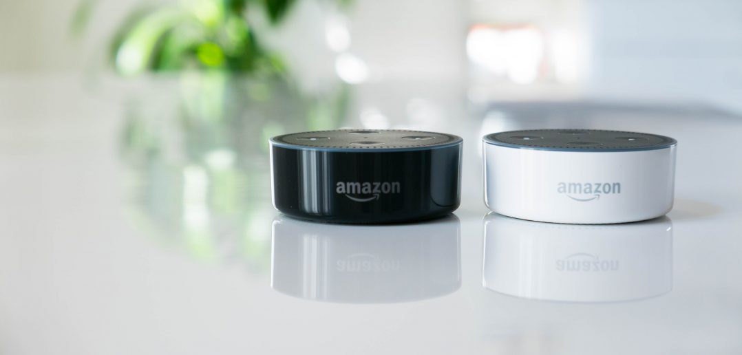 mehrere Amazon Echos parallel