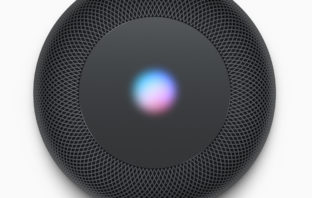 (c) Apple Inc.