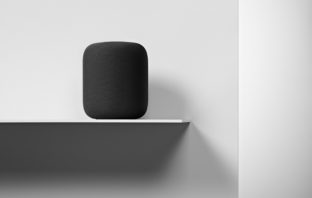 (c) Apple Inc.