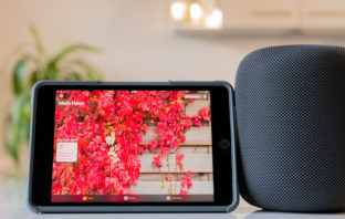 So richtet ihr den Apple HomePod richtig ein und vermeidet Fehler!