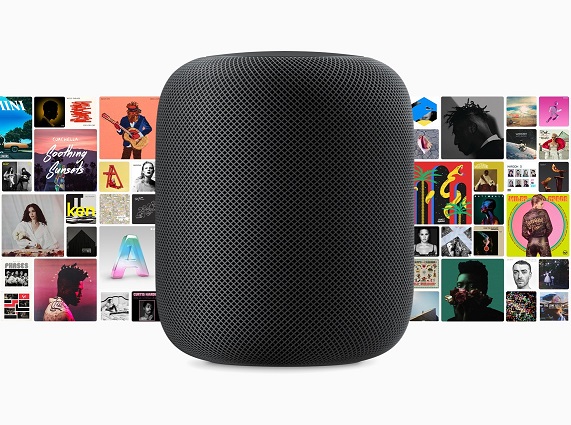 (c) Apple Inc.