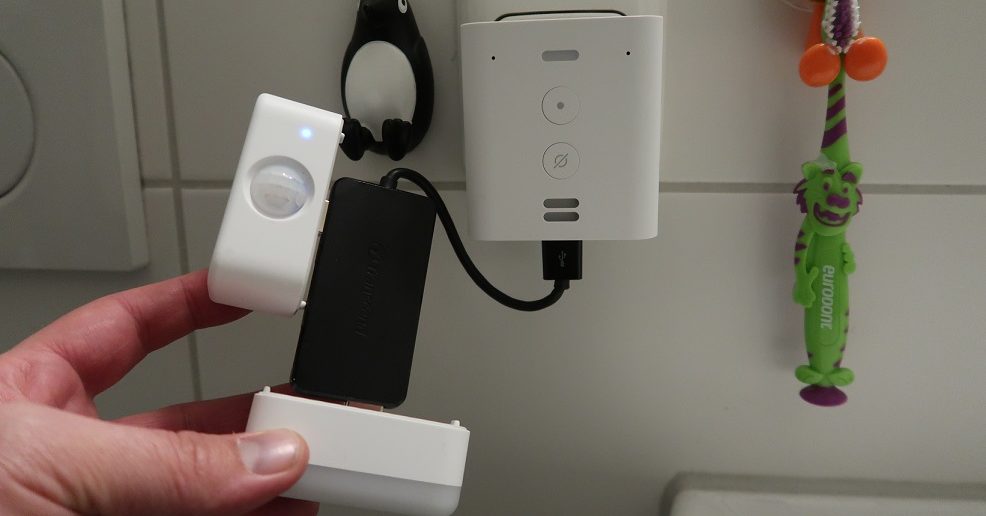 Echo Flex USB-Hub
