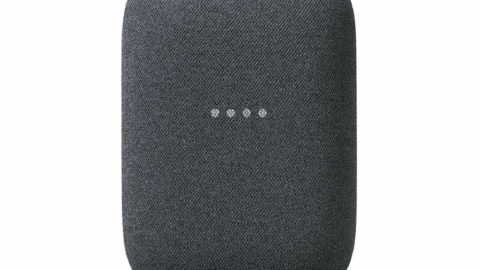 Nest Audio