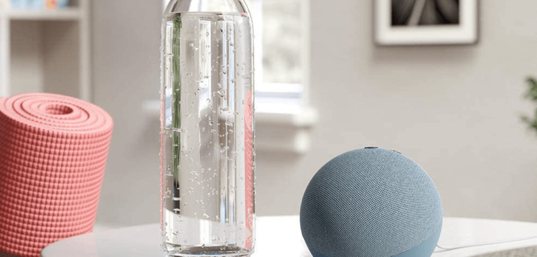 Echo Dot