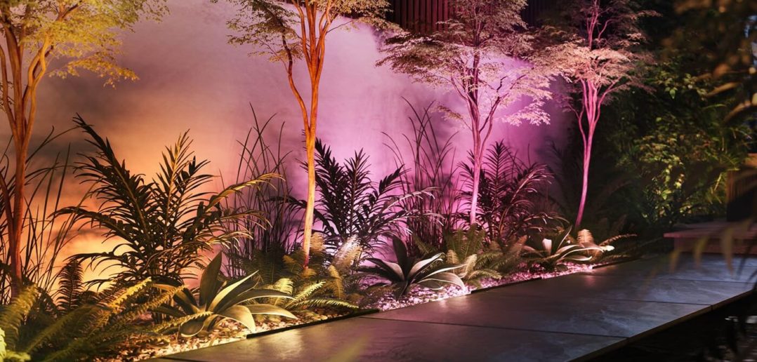 Philips Hue Amarant