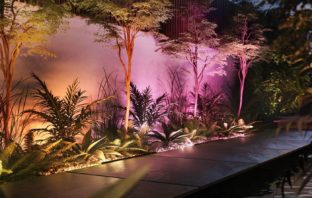 Philips Hue Amarant