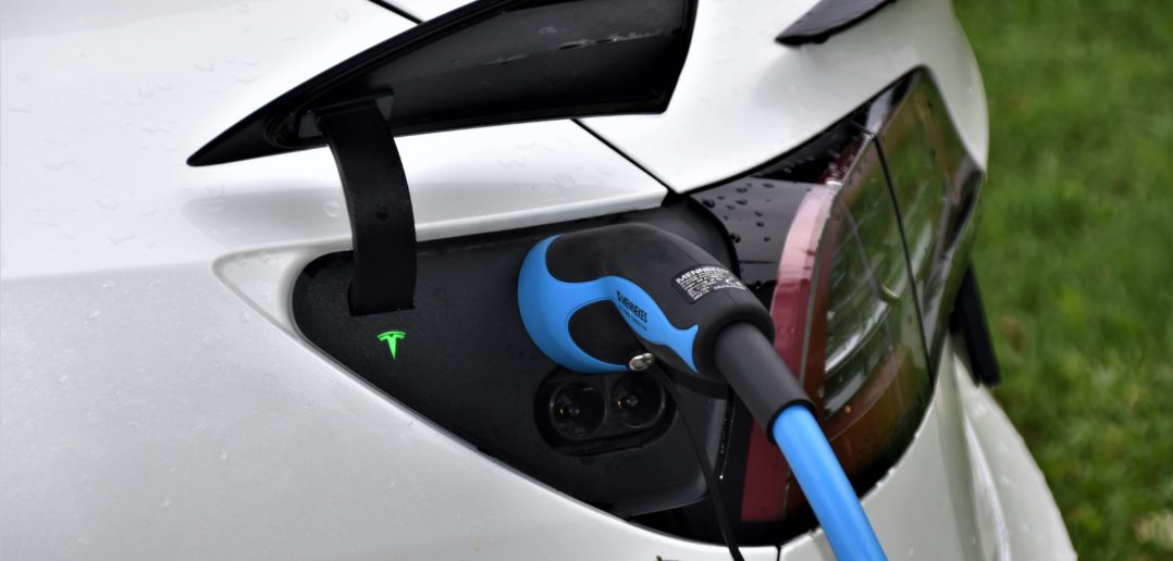 Tesla Open Butthole