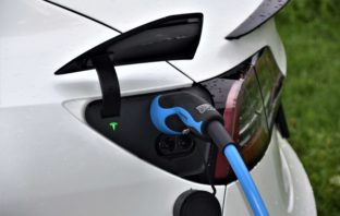 Tesla Open Butthole