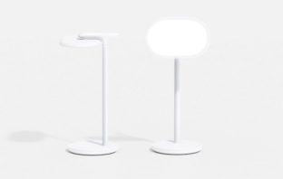 Google dLight