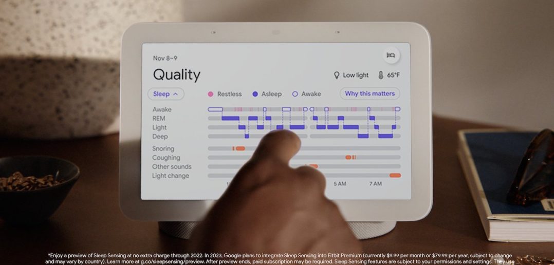 Google Nest Hub REM