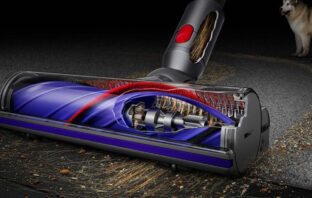 Dyson V8