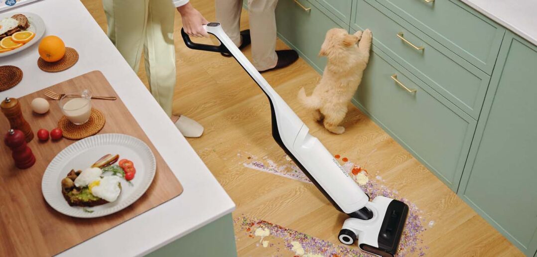 Roborock Flexi Pro