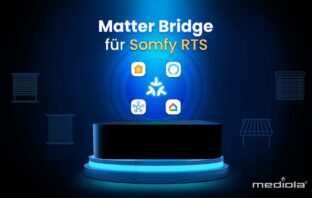 Somfy RTS Matter Bridge
