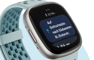 Google Fitbit