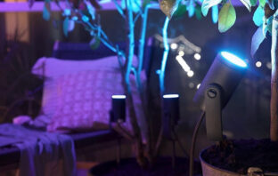 Philips Hue Lily