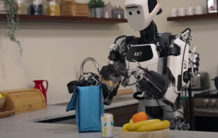 Gemini Robotics
