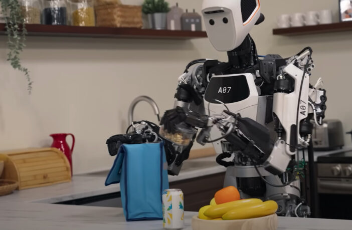 Gemini Robotics