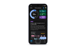 Google Fitbit Gemini