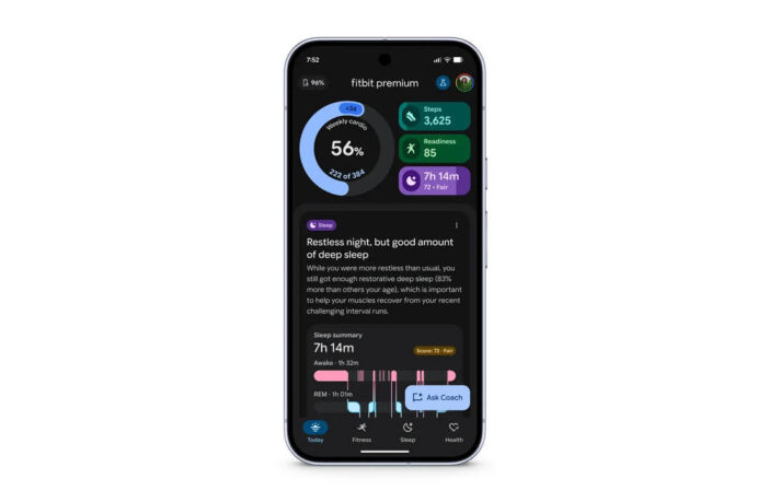 Google Fitbit Gemini