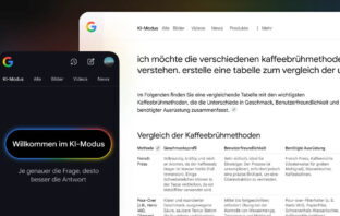 Google KI Modus