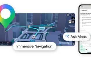 Google Maps Gemini